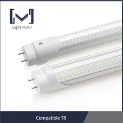 T8 LED Tube Lights suppliers